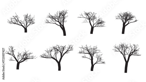 Collection of Leafless Tree Silhouettes – Winter Bare Trees Vector Set