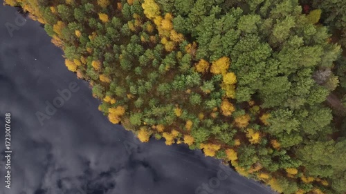 flight over an autumn lake and trees