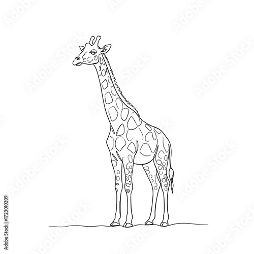 Giraffe standing elegantly in a simple line drawing style on transparent background  