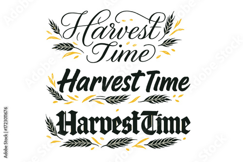 Harvest Calligraphy Styles. Harvest Time. Create a calligraphy lettering illustration of the phrase: Harvest