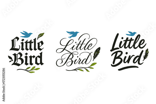 Calligraphy Bird Designs. Little bird. Create a calligraphy lettering illustration of the phrase: Little bird.
