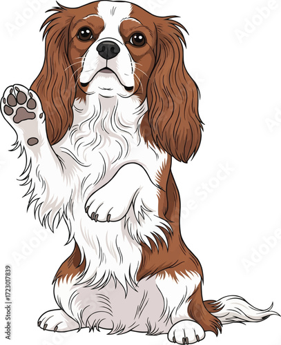 Cavalier King Charles Spaniel dog sitting on hind legs illustration