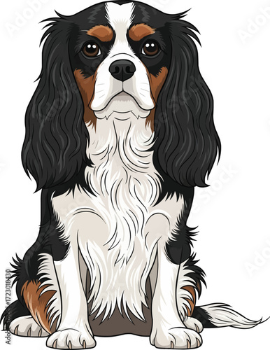 Cavalier King Charles Spaniel dog sitting cute front view illustration