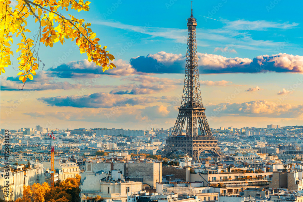 Naklejka premium eiffel tour and Paris cityscape