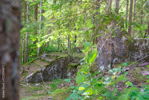 Moss-covered stone steps in a serene forest landscape