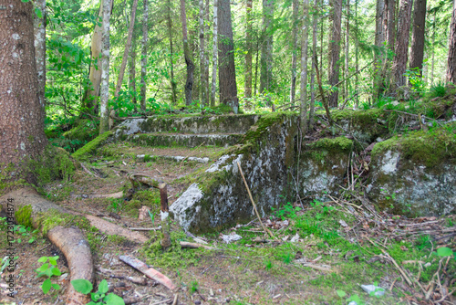 Moss-covered stone steps in a serene forest landscape