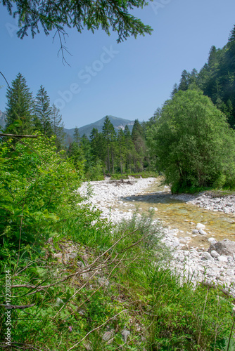 Scenic Slovenian river flowing through lush green valley landscape