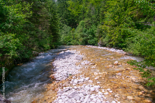 Scenic Slovenian river flowing through lush green valley landscape