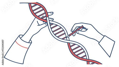 Hands Carefully Editing a Double Helix DNA Structure