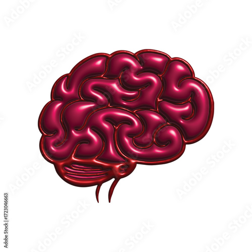 Glossy red human brain 3D model isolated on a white background, symbolizing intelligence, mind, and creative thinking