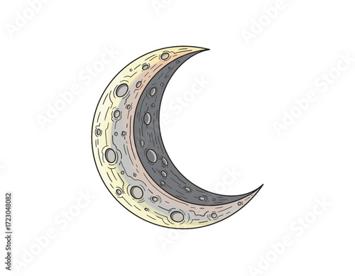 Detailed vector illustration of a crescent moon in an antique engraving style. Symbol of the night, space, and lunar cycles, isolated on a white background