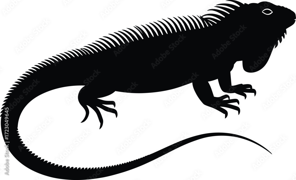 Fototapeta premium Black iguana silhouette with spiky crest and tail reptile