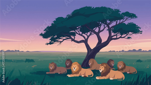 Illustration Of A Herd Of Lions Resting Under An Acacia Tree With A Backdrop Of Vast Grassland And A Twilight Sky Vector Design Template
