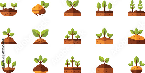 Collection of young plants growing from soil diverse seedlings and sprouts images