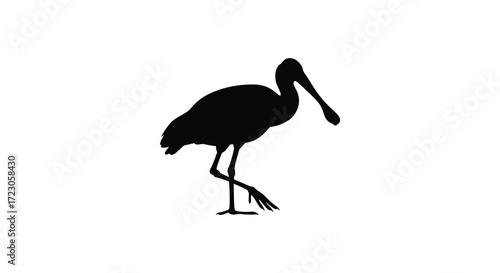 Elegant black bird standing gracefully on legs a striking silhouette