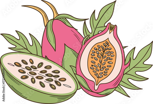 Vibrant exotic fruit illustration dragon fruit passionfruit tropical flavors vector eps
