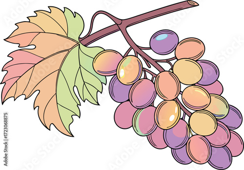 Iridescent rainbow grape bouquet vector illustration scalable eps icon for fruit and food art