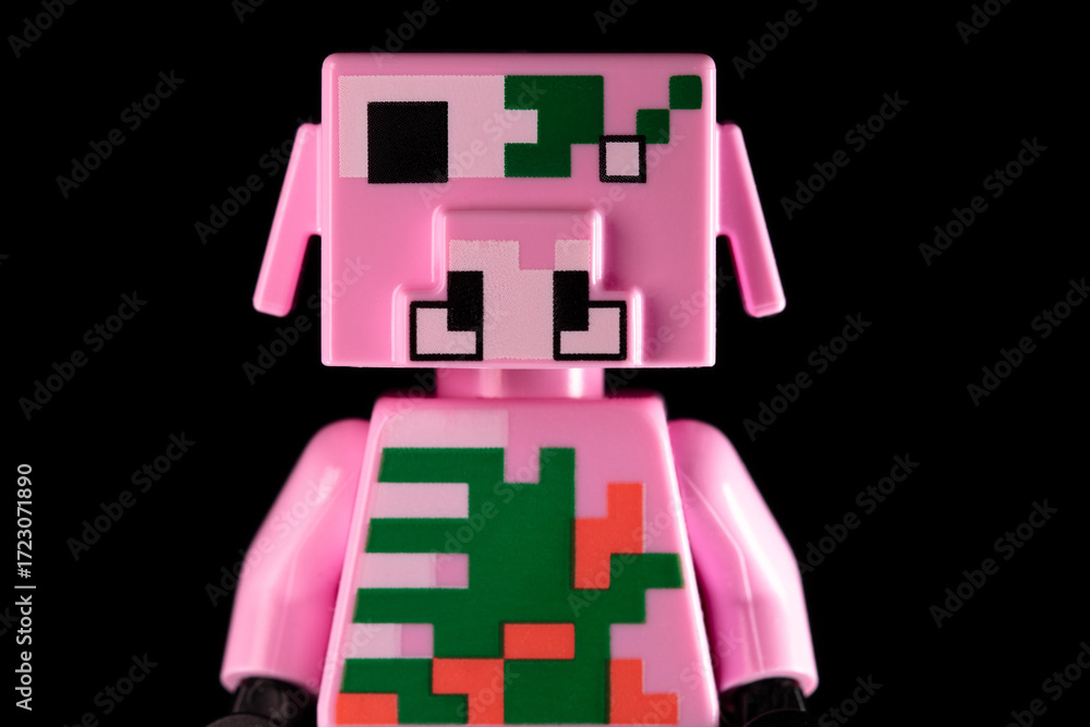 Obraz premium Face of LEGO Minecraft Zombie Piglin on a black background