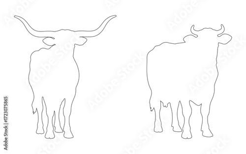 Outline drawing of farm cows and bulls front view livestock animal vector graphic for agriculture dairy beef ranch rustic and countryside design
