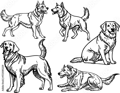 Vector illustration of dog line art set with detailed pet drawing perfect for coloring book animal education domestic dog design and canine sketch decoration