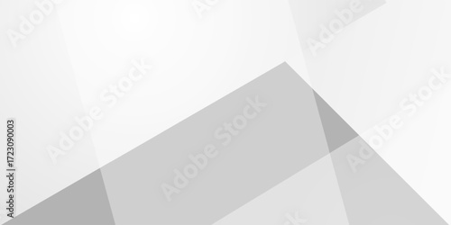Abstract white and gray texture line shadow shape background. white pattern. vector illustration