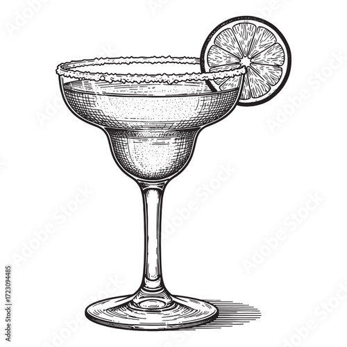 Margarita cocktail engraving vector style