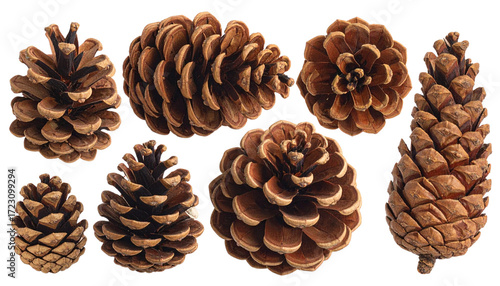 Small Pinecones Collection for Christmas Tree Decoration, Transparent PNG