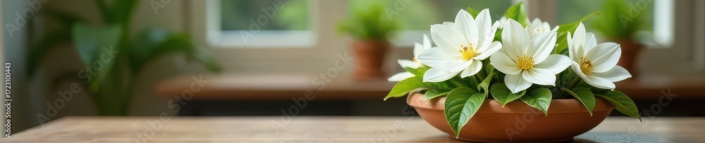 Fototapeta premium Pure white floral display in earthy clay pot, stylish tabletop scene, minimal, tabletop, vintage