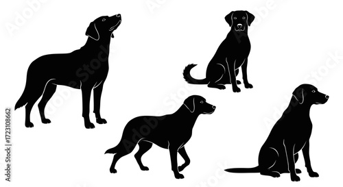 Silhouette of various black labrador retriever poses isolated on a white background