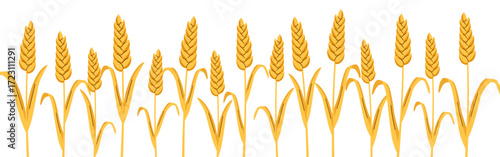 Background of wheat ears isolated on white. Concept of bread and harvest. Vector flat template.