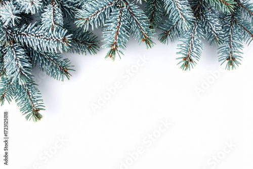 Fir Tree Branch with Snow Isolated on Transparent Background
