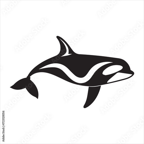 dolphin isolated on white background