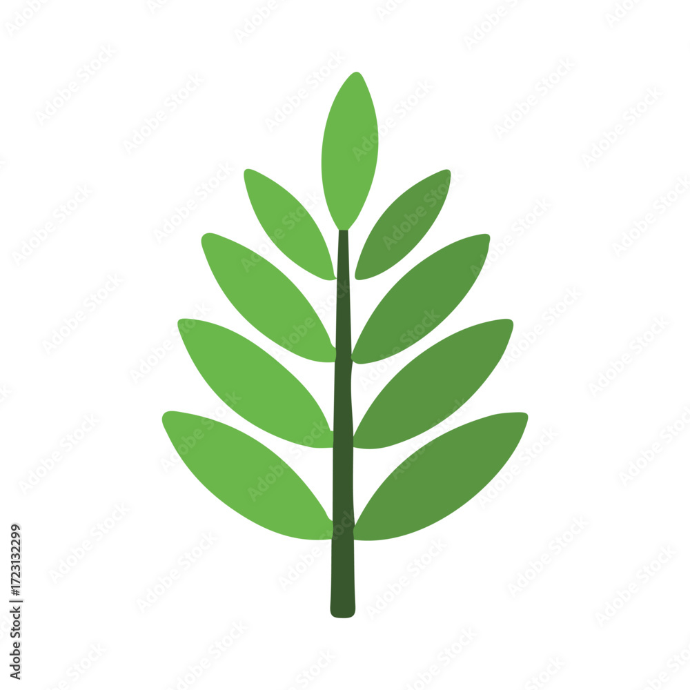 Fototapeta premium green leaf isolated on white background