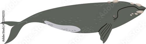 A stylized illustration of a grey whale