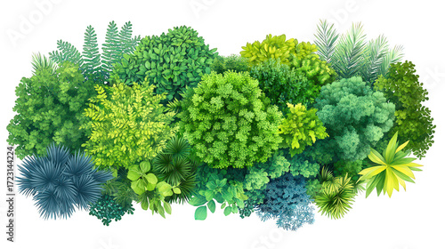 landscape top view plan of greenery