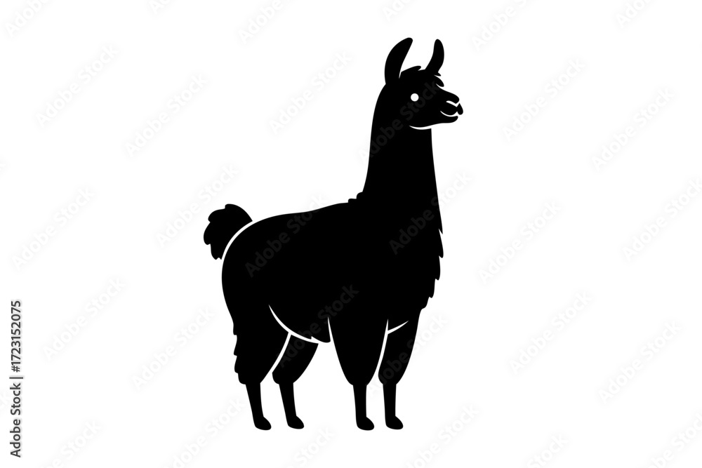 Fototapeta premium Black silhouette of standing llama on white background. Clipart image.