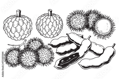 Assortment of exotic fruits including custard apples, rambutan, and tamarind pods