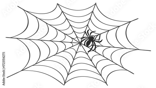 Intricate Spiderweb with Central Black Spider Illustration