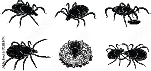 Tick silhouette illustration, insect artwork, parasite vector drawing, arachnid design, biology study, pest control graphic, tick feeding, reproduction behavior