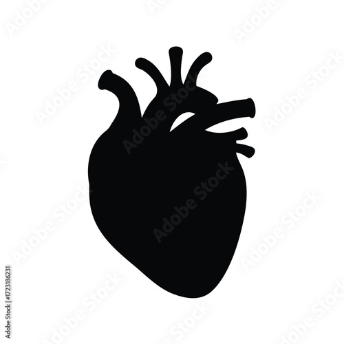 Simple Black Silhouette Illustration of an Anatomically Correct Human Heart