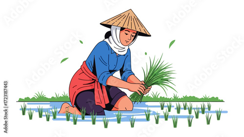 Rice Planting Amidst Tranquility: A serene illustration depicts a woman engaged in the age-old tradition of planting rice in a tranquil field. The image evokes a sense of peaceful productivity.