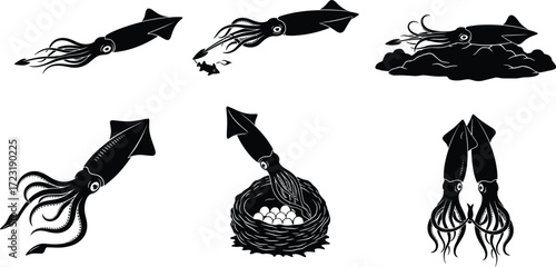 Squid silhouette illustration, marine life artwork, ocean animal drawing, cephalopod vector, squid hunting, biology study, seafood design, nesting behavior, underwater creature