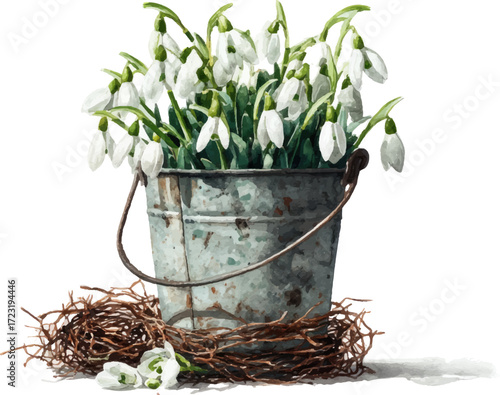 
Watercolor painting of snowdrops in a silver bucket with a thorny wire basket, on a white background.