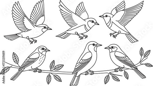 Collection of charming sparrows depicted in various poses, some in flight and others perched on branches.