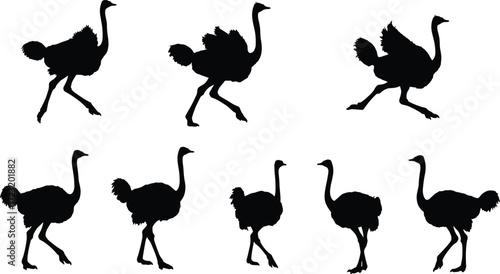 Ostrich bird silhouettes running, walking, African wildlife illustration, flightless bird poses, animal locomotion study, black and white vector design