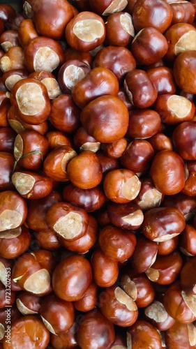 A variety of chestnuts is beautifully presented in a closeup view, showcasing their smooth and shiny surfaces in stunning detail