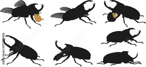 Rhinoceros beetle silhouettes in flight, crawling insect poses, horned beetle fighting stance, feeding behavior, entomology illustration, black and white vector design