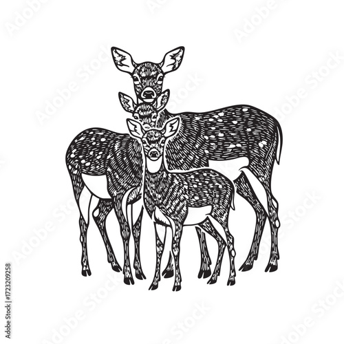 Vector of serene deer family is gathered together. This detailed vector illustration of a buck, doe, and fawn beautifully captures the gentle and tender bond of these wild animals.
