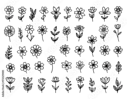 Simple black line drawings of various flowers and leaves