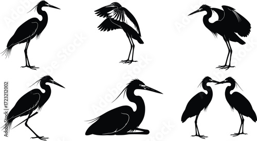 Heron silhouette illustration, flying heron, standing heron, walking heron, courtship display, nesting heron, bird wildlife art, elegant wetland animal graphic